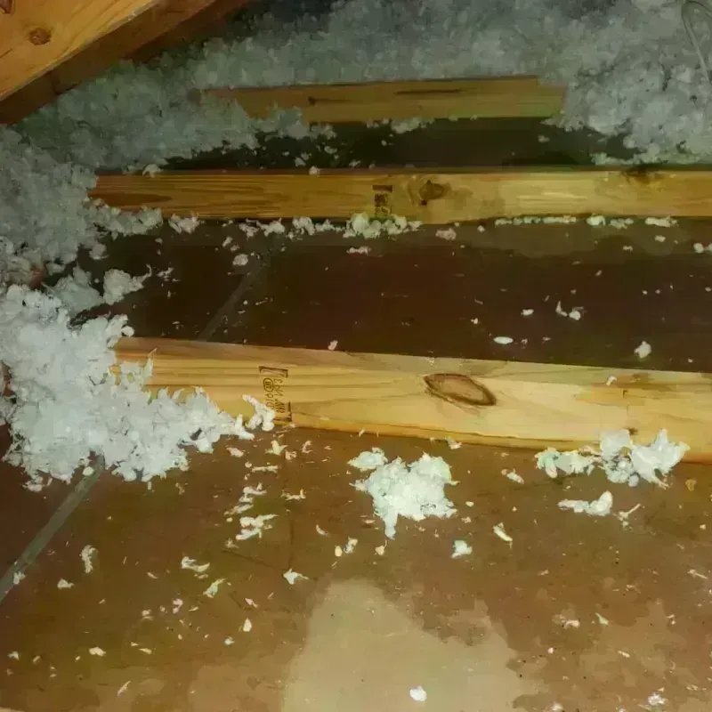 Attic Water Damage in Atkins, AR