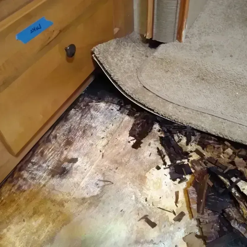 Wood Floor Water Damage in Atkins, AR